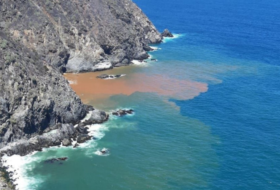 Grave: Estudio científico confirma alarmante presencia de coliformes fecales en la costa de Valparaíso