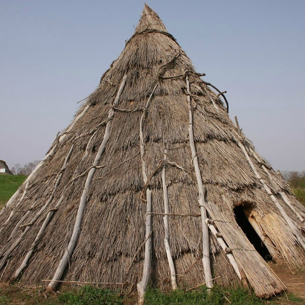 Vivienda Prehistórica: Una Mirada a los Asentamientos