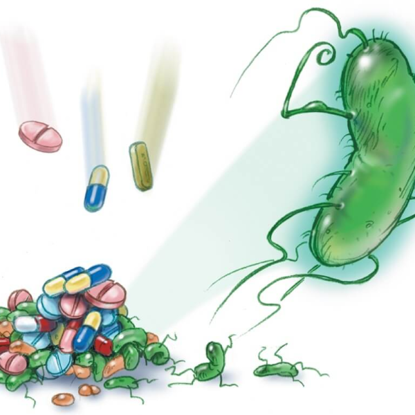 Resistencia a Antibióticos: Un Problema Evolutivo Antiguo