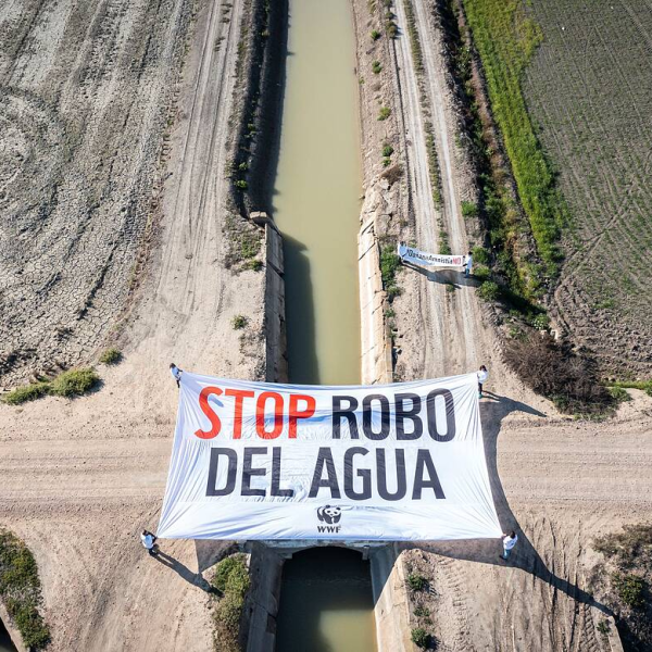 Robo de agua: un problema creciente y sus consecuencias