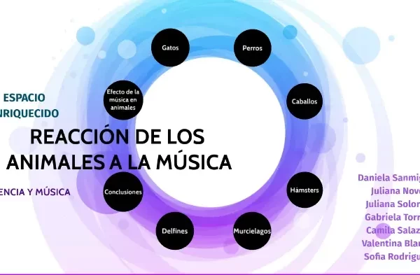 Reacción de los animales a la música: Descubre su impacto