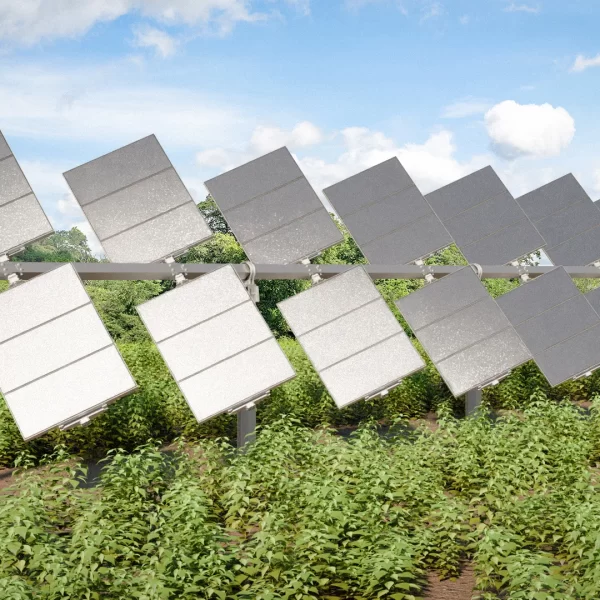 Plan de reestructuración de Soltec: un nuevo comienzo