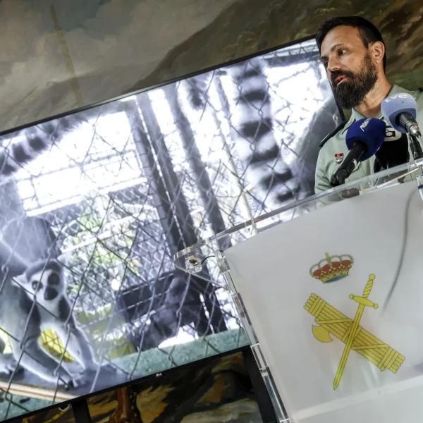 Zoológico clandestino Nules desmantelado por la Guardia Civil