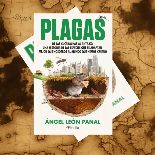 Revisión de estilo y traducción: pulimos textos y tono