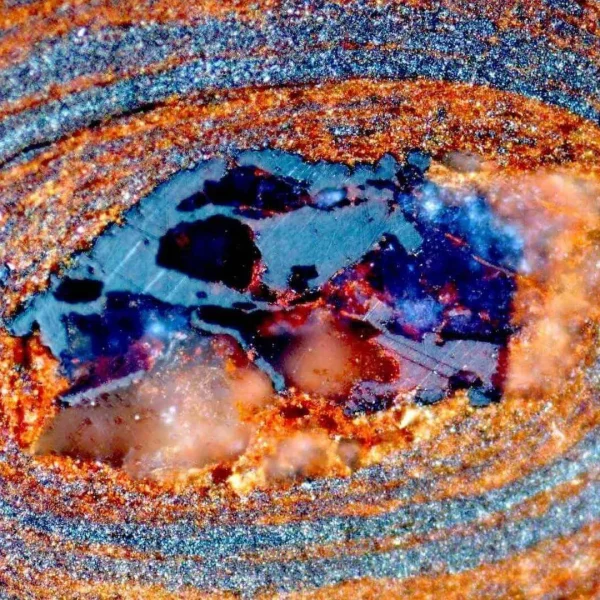 Océano antiguo: Nuevos hallazgos sobre el carbono orgánico