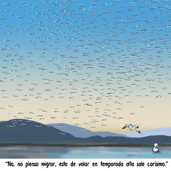 Volar en temporada alta: ¡Aumentan los precios de vuelos!