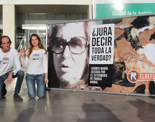 Maltrato animal: 30 años de El Refugio en Madrid