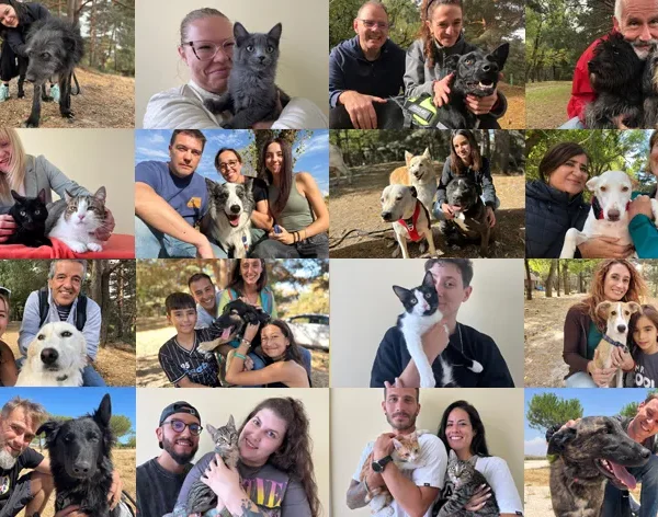 Protección Animal: La Historia de El Refugio en Madrid