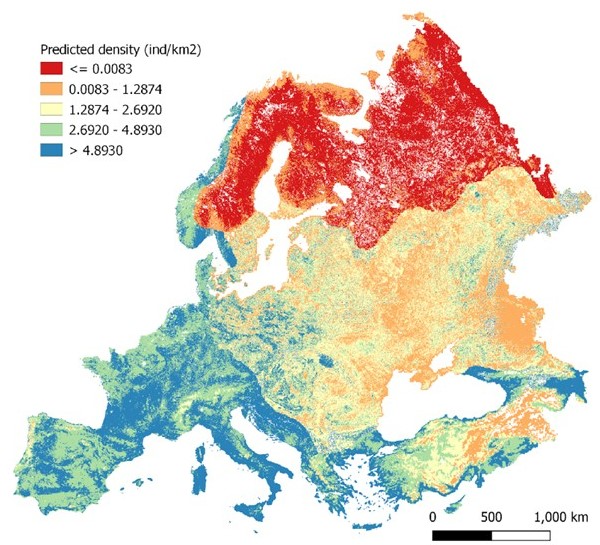 Población de jabalíes en Europa: Densidad y Gestión