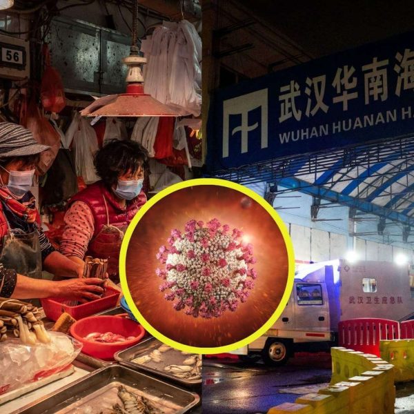 Origen de la COVID-19: Revelaciones Impactantes sobre Huanan