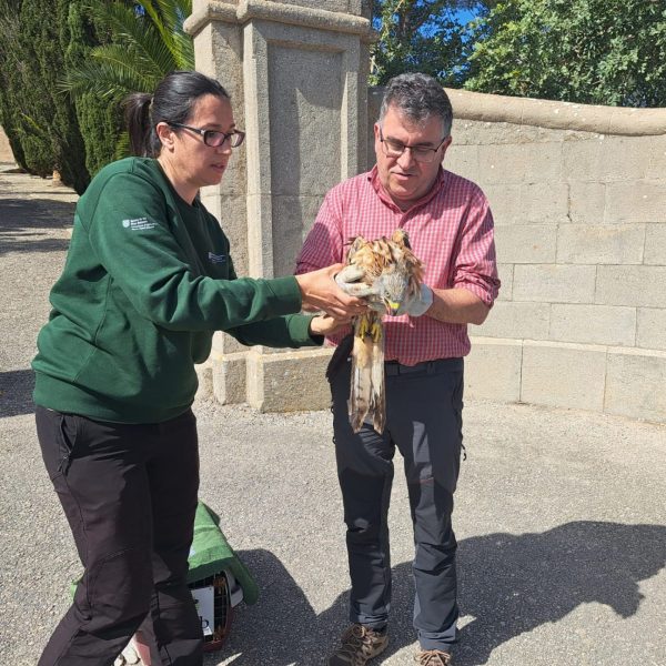 Milano Real: La Recuperación de Especies Protegidas en Mallorca