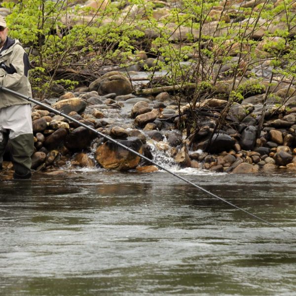 Pesca del salmón: ¿La temporada en peligro por la extinción?