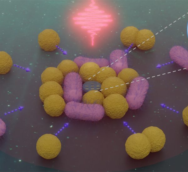 Nanorobots: La Revolución en la Captura y Control de Bacterias