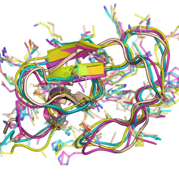 Proteínas en Movimiento: La Nueva Era de la IA en Biología Molecular