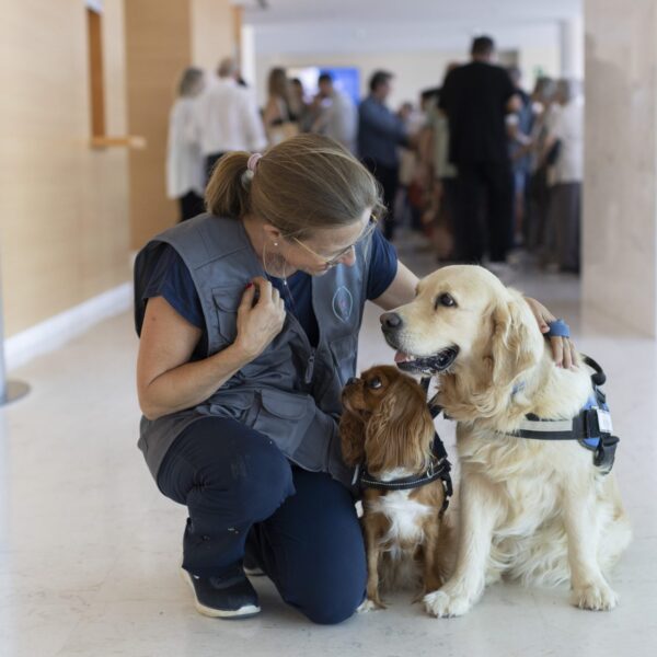 Perros y emociones: ¿Cómo los perros entienden las expresiones humanas?