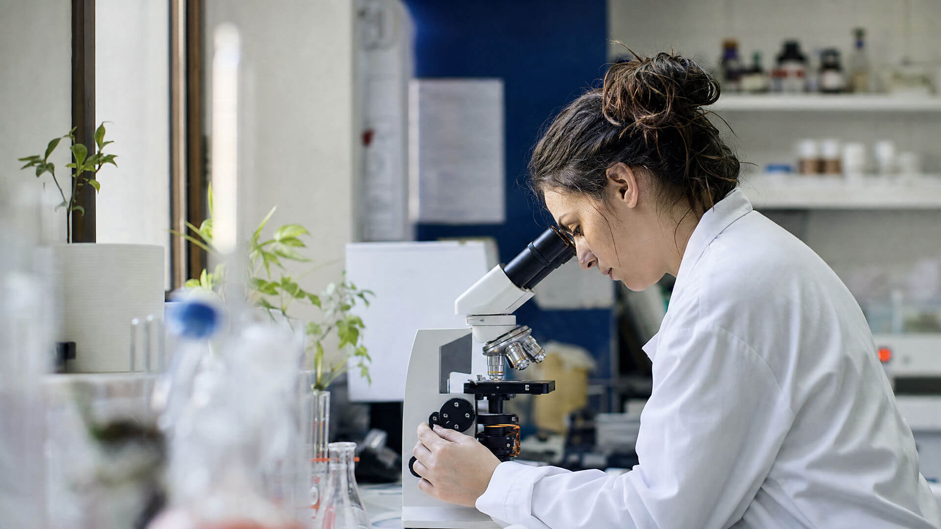 Nutrición Saludable: Más Allá de un Nutriente o una Bacteria
