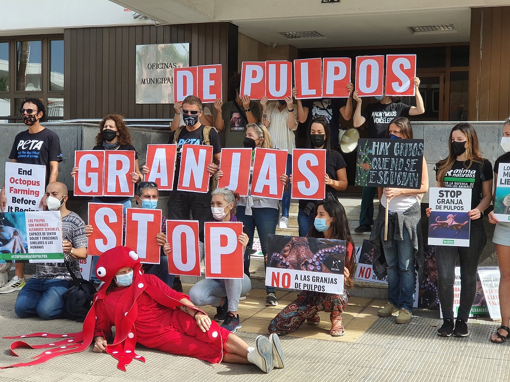 Granja comercial de pulpos: un proyecto polémico que genera rechazo