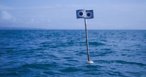 Espantapájaros flotante: la innovación que salva aves marinas