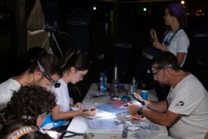 Marismas del Odiel: El refugio de aves migratorias en emergencia