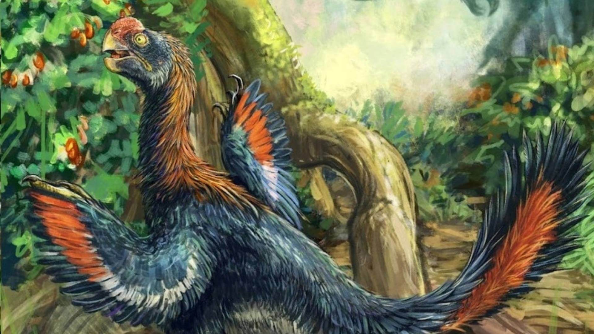 Infernogallus jamesi: Un Dinosaurio que Comía Frutas como los Loros